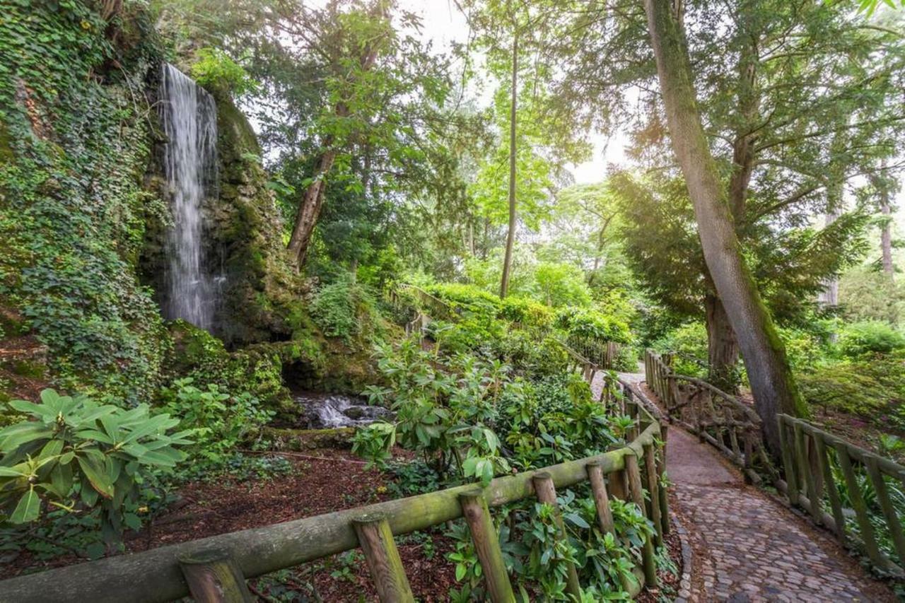 圖盧茲Calme Appart Renove Jardin Des Plantes Busca公寓 外观 照片